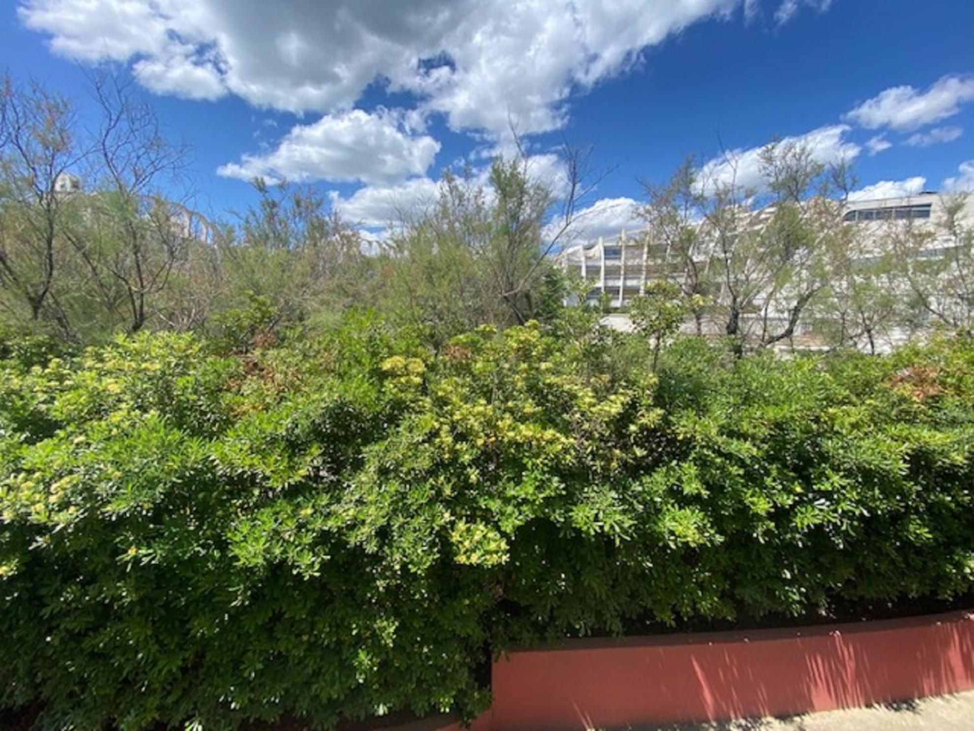 Vittoria Immobilier 4-Reglement Sur Place -Cheques Vacances Acceptes La Grande-Motte Exterior photo